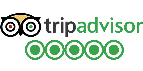 TripAdvisor Reviews Logo